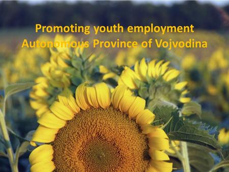 Promoting youth employment Autonomous Province of Vojvodina.
