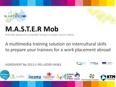 M.A.S.T.E.R Mob Multimedia Approach for a Sustainable Training in a European Route for Mobility A multimedia training solution on intercultural skills.