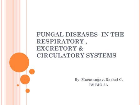 FUNGAL DISEASES IN THE RESPIRATORY , EXCRETORY & CIRCULATORY SYSTEMS