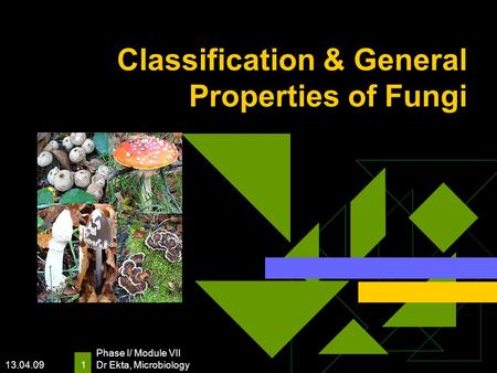 Classification & General Properties of Fungi