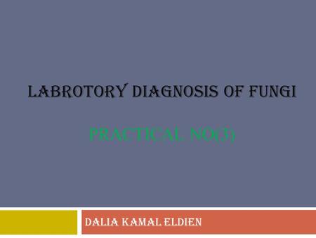 LABROTORY DIAGNOSIS OF FUNGI PRACTICAL no(3)