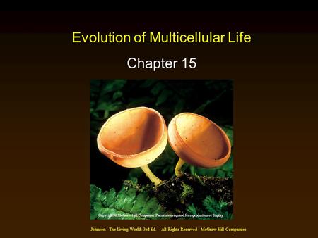 Johnson - The Living World: 3rd Ed. - All Rights Reserved - McGraw Hill Companies Evolution of Multicellular Life Chapter 15 Copyright © McGraw-Hill Companies.