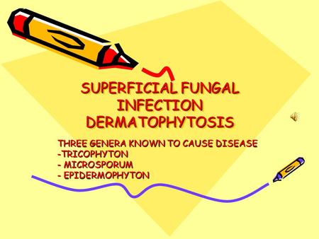 SUPERFICIAL FUNGAL INFECTION DERMATOPHYTOSIS THREE GENERA KNOWN TO CAUSE DISEASE -TRICOPHYTON - MICROSPORUM - EPIDERMOPHYTON.
