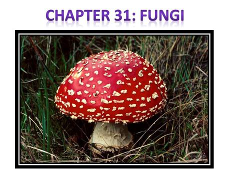 Chapter 31: Fungi.