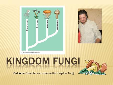 Kingdom Fungi Outcome: Describe and observe the Kingdom Fungi.