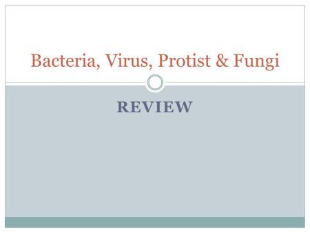 Bacteria, Virus, Protist & Fungi