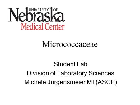 Micrococcaceae Student Lab Division of Laboratory Sciences Michele Jurgensmeier MT(ASCP)