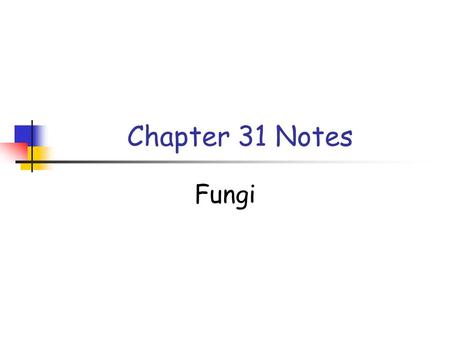 Chapter 31 Notes Fungi.