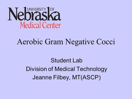Aerobic Gram Negative Cocci Student Lab Division of Medical Technology Jeanne Filbey, MT(ASCP)