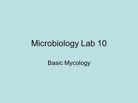 Microbiology Lab 10 Basic Mycology.