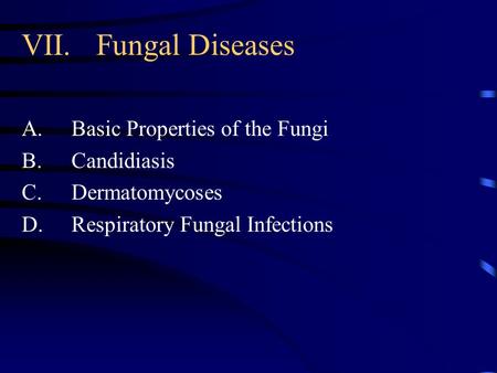 VII.Fungal Diseases A.Basic Properties of the Fungi B.Candidiasis C.Dermatomycoses D.Respiratory Fungal Infections.