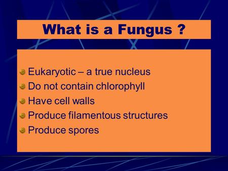 What is a Fungus ? Eukaryotic – a true nucleus Do not contain chlorophyll Have cell walls Produce filamentous structures Produce spores.