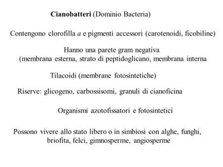 Cianobatteri (Dominio Bacteria)