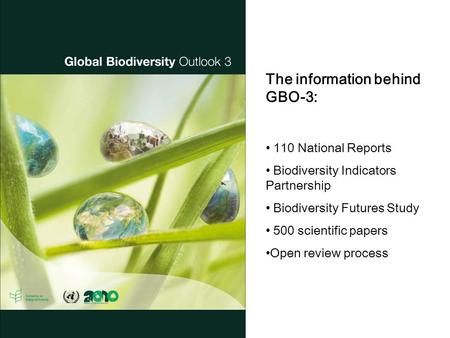 The information behind GBO-3: