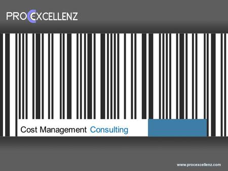 Www.procexcellenz.com Cost Management Consulting.