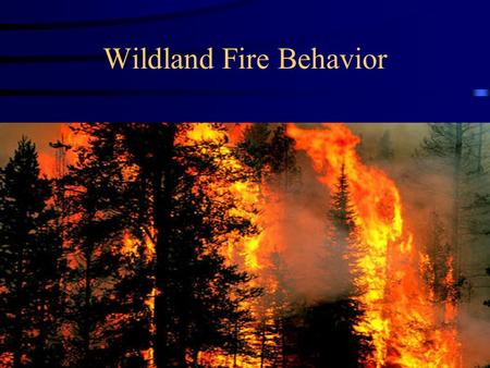 Wildland Fire Behavior