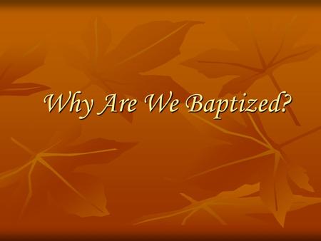 Why Are We Baptized?.