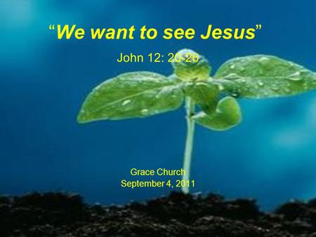 “We want to see Jesus” John 12: 20-26