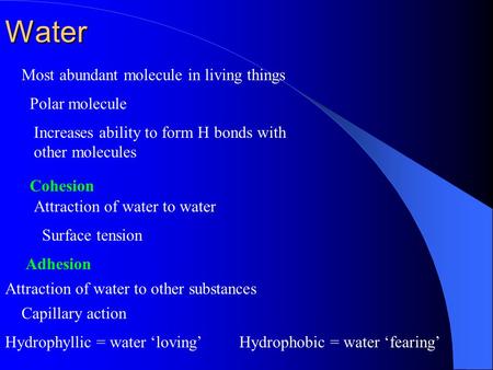 Water Most abundant molecule in living things Polar molecule