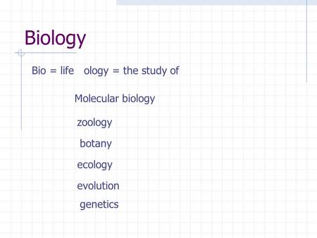 Biology Bio = life ology = the study of Molecular biology zoology
