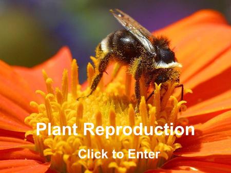 Plant Reproduction Click to Enter.