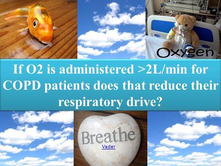 If O2 is administered >2L/min for COPD patients does that reduce their respiratory drive? Vader.
