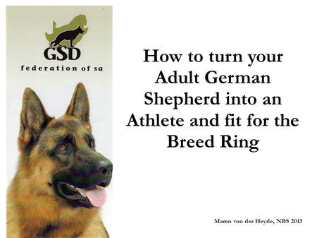 How to turn your Adult German Shepherd into an Athlete and fit for the Breed Ring Maren von der Heyde, NBS 2013.
