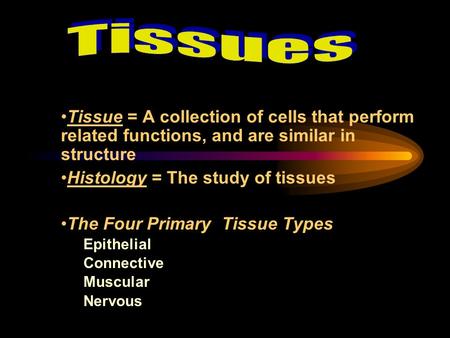 Tissues Tissue = A collection of cells that perform related functions, and are similar in structure Histology = The study of tissues The Four Primary.