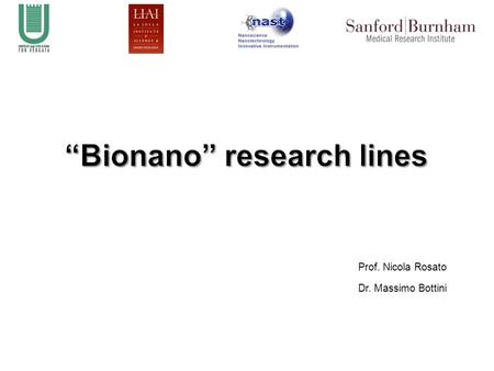 “Bionano” research lines