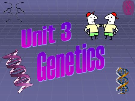Unit 3 Genetics.