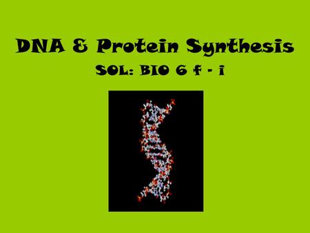 DNA & Protein Synthesis
