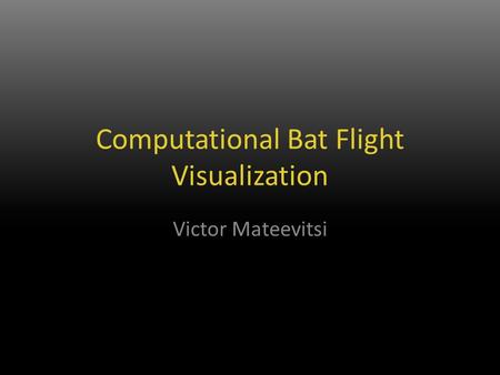Computational Bat Flight Visualization Victor Mateevitsi.