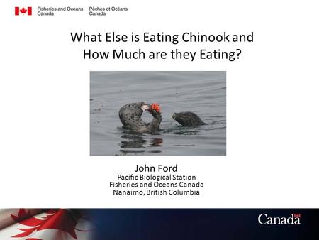 What Else is Eating Chinook and How Much are they Eating?