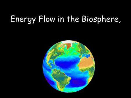Energy Flow in the Biosphere,