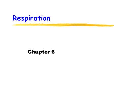 Respiration Chapter 6.