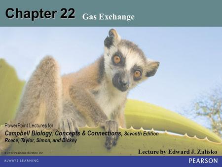 Chapter 22 Gas Exchange.