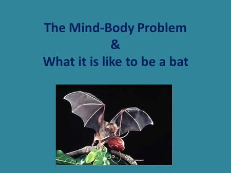 The Mind-Body Problem & What it is like to be a bat