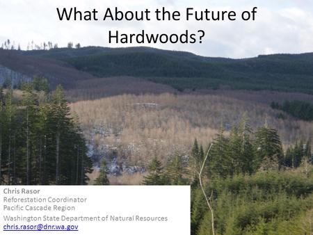 What About the Future of Hardwoods? Chris Rasor Reforestation Coordinator Pacific Cascade Region Washington State Department of Natural Resources