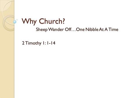 Sheep Wander Off…One Nibble At A Time 2 Timothy 1: 1-14