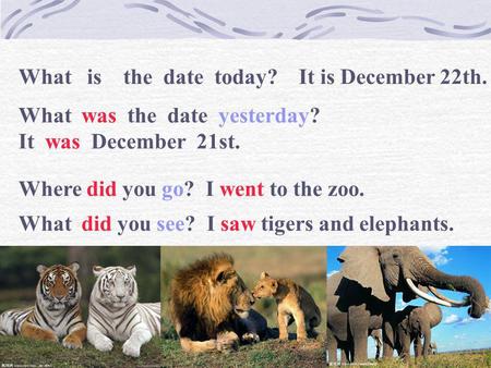 What   is    the  date  today?    It is December 22th.