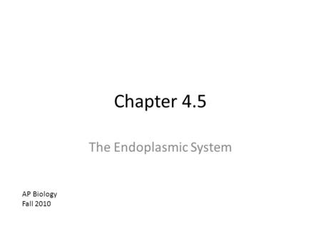 The Endoplasmic System