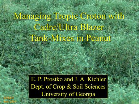Managing Tropic Croton with Cadre/Ultra Blazer Tank-Mixes in Peanut E. P. Prostko and J. A. Kichler Dept. of Crop & Soil Sciences University of Georgia.