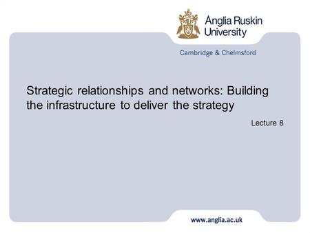 Strategic relationships and networks: Building the infrastructure to deliver the strategy Lecture 8.