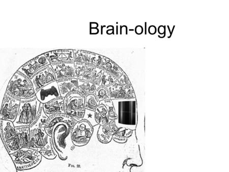 Brain-ology How well do you know your brain? Above all else, know thyself. -Socrates -Socrates.