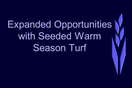 Expanded Opportunities with Seeded Warm Season Turf.