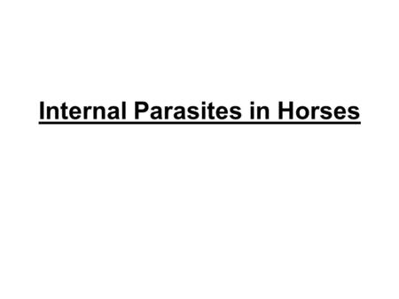 Internal Parasites in Horses