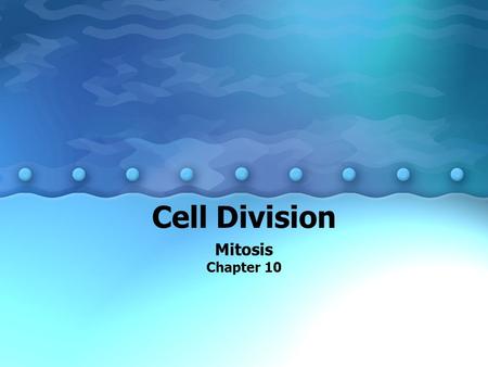 Cell Division Mitosis Chapter 10.