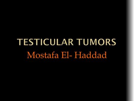 Testicular tumors Mostafa El- Haddad.