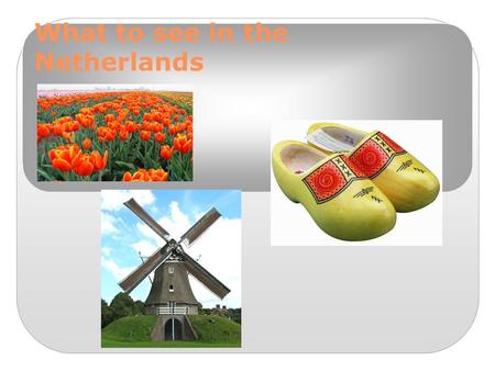 What to see in the Netherlands. De Lindenborg This is our school. There are about 1100 students. Each lesson lasts 50 minutes and everyday we have about.
