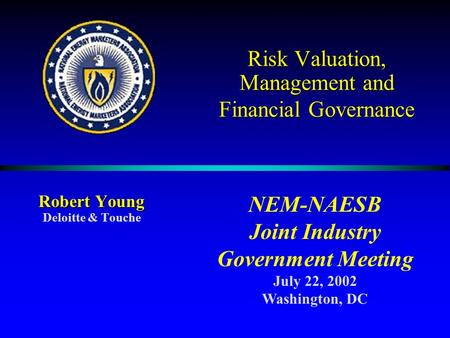 Risk Valuation, Management and Financial Governance Robert Young Deloitte & Touche NEM-NAESB Joint Industry Government Meeting July 22, 2002 Washington,